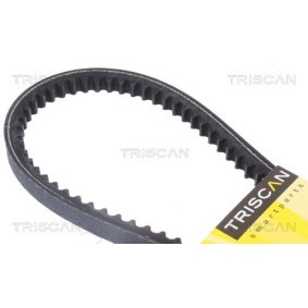Fahrwerksfeder 8750 1461 von TRISCAN günstig für 49,21 € online kaufen