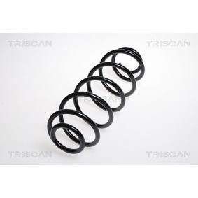 Fahrwerksfeder für CITROËN von TRISCAN