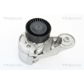 Fahrwerksfeder 8750 4036 von TRISCAN günstig für 58,22 € online kaufen