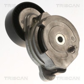 Fahrwerksfeder 8750 4039 von TRISCAN günstig für 65,00 € online kaufen