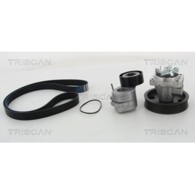 Fahrwerksfeder 8750 6508 von TRISCAN günstig für 62,29 € online kaufen