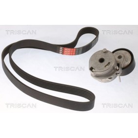 Fahrwerksfeder 8750 6806 von TRISCAN günstig für 55,65 € online kaufen