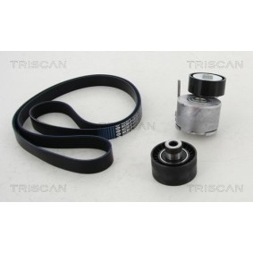 Fahrwerksfeder 8750 6901 von TRISCAN günstig für 43,16 € online kaufen
