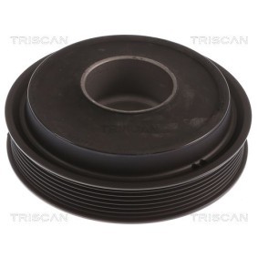Fahrwerksatz, Federn 8755 16001 von TRISCAN günstig für 124,58 € online kaufen