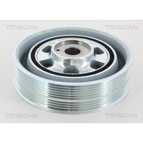 Compre Kit de suspensão, molas de TRISCAN online para Omega B Sedan (V94) a preços moderados