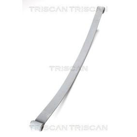 Federpaket von TRISCAN 8765 23008