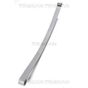 Federpaket von TRISCAN 8765 23011