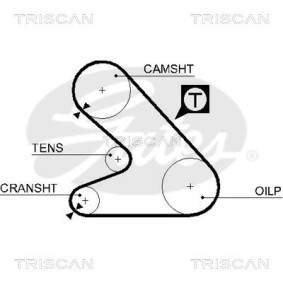 Federpaket von TRISCAN 8765 23013