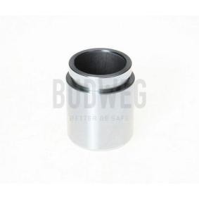 Compre Êmbolo, pinça do travão da BUDWEG CALIPER 233857 a um preço baixo por 16,29 €