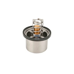 Köp Termostat, kylvätska av DT Spare Parts 5.41021 till det låga priset 507,94 kr