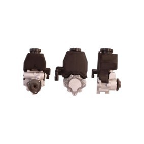 Servopumpe 15-0261 von ELSTOCK günstig für 241,70 € online kaufen