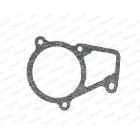 Dichtung, Thermostat für BMW von PAYEN