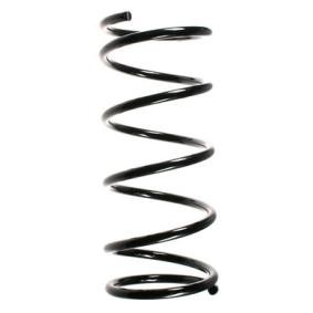 Fahrwerksfeder 56303 von SPIDAN günstig für 59,11 € online kaufen