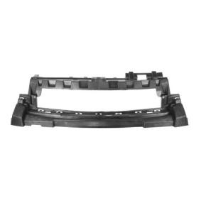 Comprar Soporte, parachoques de BLIC 5502-00-0557941P a bajo precio de 65,22 €
