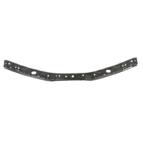 Comprar Soporte, parachoques de BLIC 5502-00-8164941P a bajo precio de 8,53 €