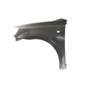 Kotflügel 6504-04-1135311P von BLIC günstig für 38,31 € online kaufen