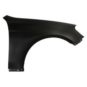 Kotflügel 6504-04-1141312P von BLIC günstig für 46,39 € online kaufen