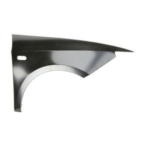 Kotflügel 6504-04-6621312P von BLIC günstig für 38,13 € online kaufen