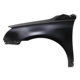 Kotflügel 6504-04-8161313P von BLIC günstig für 42,06 € online kaufen
