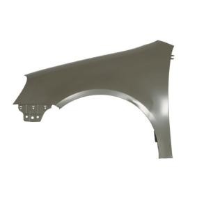 Kotflügel 6504-04-9524311P von BLIC günstig für 43,36 € online kaufen