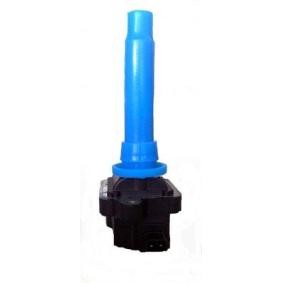Acquista Bobina d'accensione da MAGNETI MARELLI 060717096012 a buon mercato per soli 29,49 €