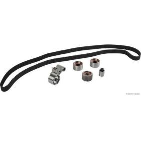Comprar Kit de correa de distribución de HERTH+BUSS JAKOPARTS J1117036 a bajo precio de 241,39 €