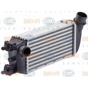 Ladeluftkühler 8ML 376 900-421 von HELLA günstig für 195,91 € online kaufen