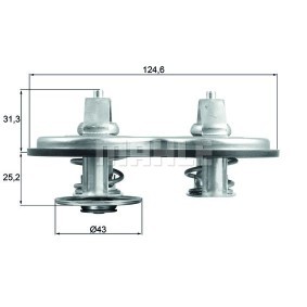 Kühlwasserthermostat für BMW von BEHR THERMOT-TRONIK