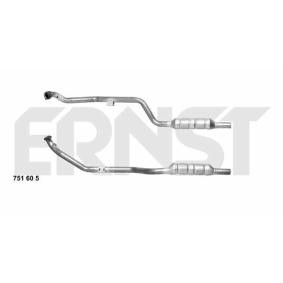 Katalysator 751605 von ERNST günstig für 381,76 € online kaufen