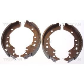 Bremsbackensatz 8100 10039 von TRISCAN günstig für 41,04 € online kaufen