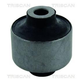Compre Suspensão, braço oscilante da TRISCAN 8500 25832 a um preço baixo por 22,33 €