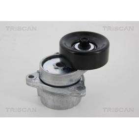 Spannrolle, Keilrippenriemen 8641 141005 von TRISCAN günstig für 196,90 € online kaufen