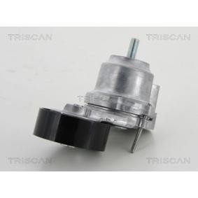 Spannrolle, Keilrippenriemen 8641 243014 von TRISCAN günstig für 104,66 € online kaufen