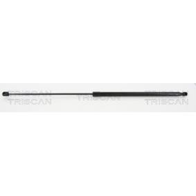 Motorhaubendämpfer 8710 29142 von TRISCAN günstig für 34,70 € online kaufen