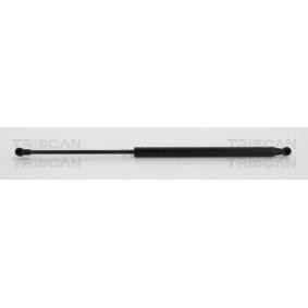 Heckklappendämpfer 8710 40240 von TRISCAN günstig für 18,77 € online kaufen