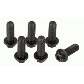 Compre Jogo de parafusos, volante do motor da SACHS 1874 000 045 a um preço baixo por 27,65 €