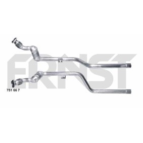 Katalysator 751667 von ERNST günstig für 266,93 € online kaufen