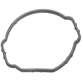 Dichtung, Thermostat für BMW von HELLA