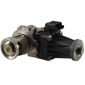 Compre Válvula EGR da HELLA 6NU 010 171-181 a um preço baixo por 209,94 €