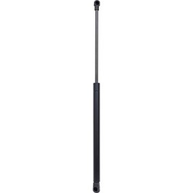 Motorhaubendämpfer 9221300 von DIEDERICHS günstig für 26,53 € online kaufen