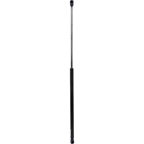 Achetez des Vérin de capot DIEDERICHS 9101700 à prix pour 18,44 €