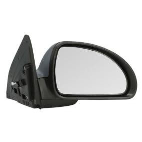 Außenspiegel 5402-04-9927134P von BLIC günstig für 46,59 € online kaufen