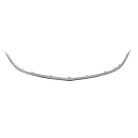 Zier- / Schutzleiste, Kühlergitter 6502-07-5053992P von BLIC günstig für 45,77 € online kaufen
