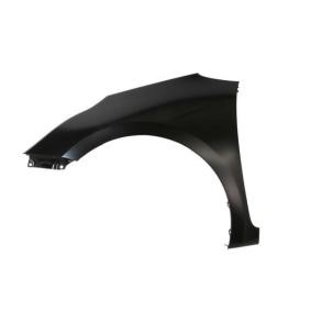 Kotflügel 6504-04-3268313P von BLIC günstig für 71,28 € online kaufen