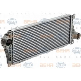 Compre Intercooler de HELLA online para SPRINTER Camião basculante (905) a preços moderados