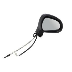 Außenspiegel 5402-04-1115283P von BLIC günstig für 81,93 € online kaufen