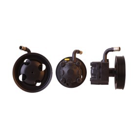 Acquista Pompa idraulica, sterzo da ELSTOCK 15-1357 a buon mercato per soli 170,23 €