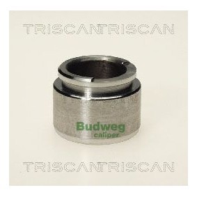 Temperaturschalter, Kühlerlüfter von TRISCAN 8625 138087