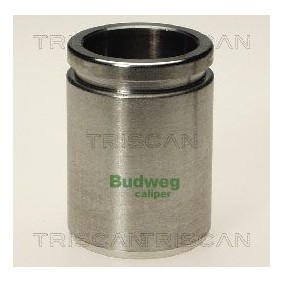 Temperaturschalter, Kühlerlüfter von TRISCAN 8625 163087