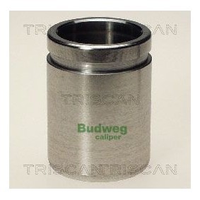 Temperaturschalter, Kühlerlüfter 8625 173107 von TRISCAN günstig für 16,71 € online kaufen